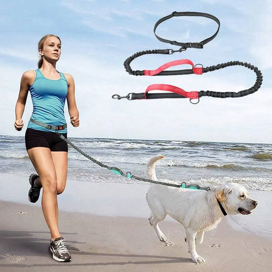 🔥Hands Free Dog Leash with Zipper Pouch